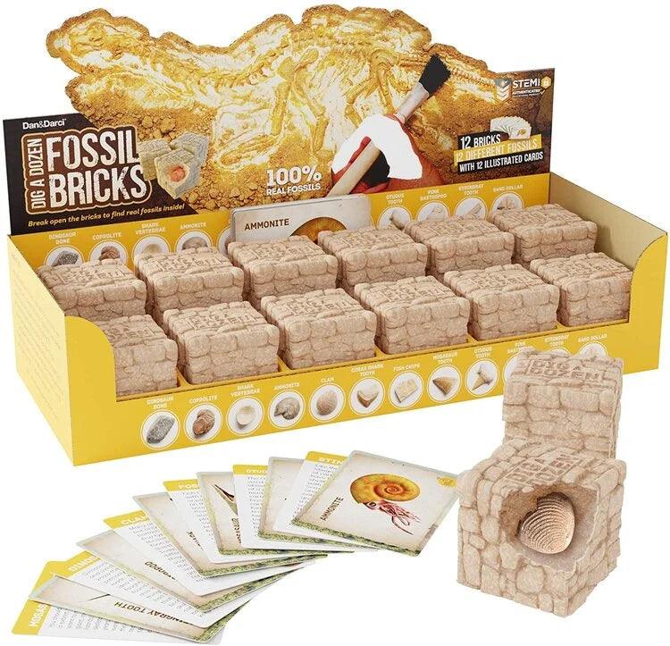 Dig a Dozen Fossil Bricks - TheToysRoom