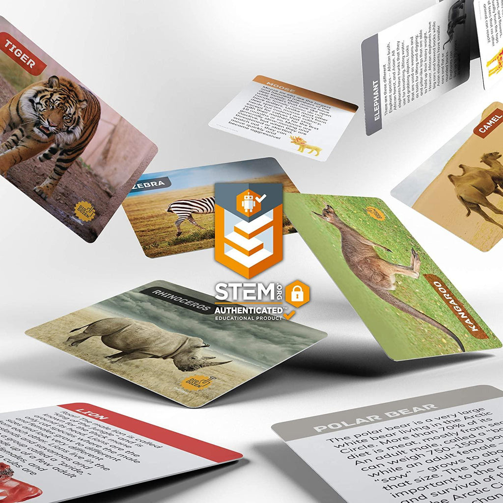 Dig a Dozen Safari Animals Kit - TheToysRoom
