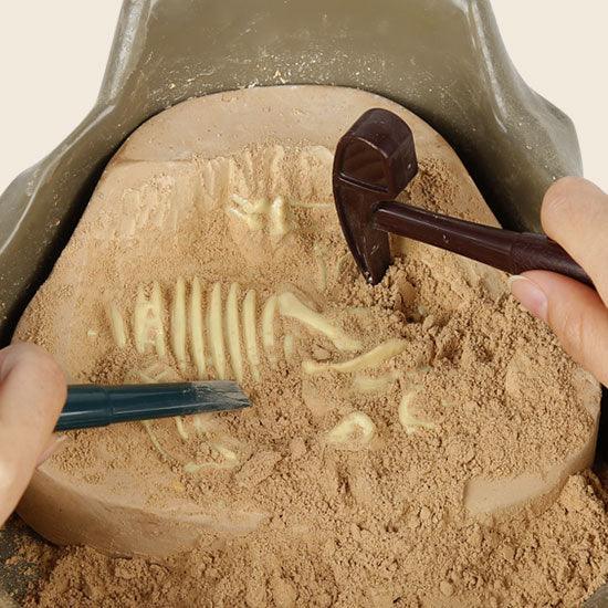 HAPE Cretaceous Deluxe Dinosaur Fossil Dig Kit - TheToysRoom