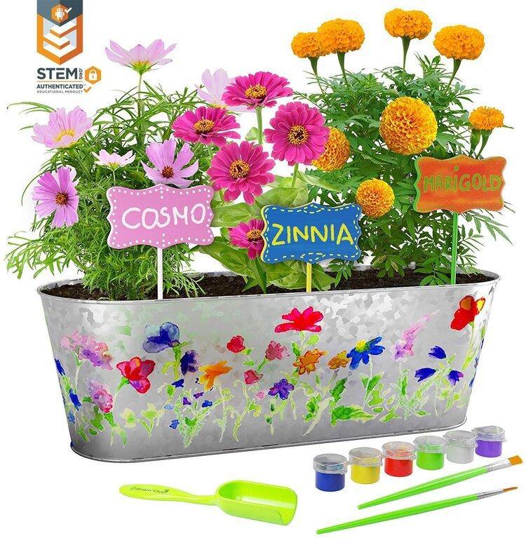 Paint & Plant Flower Growing Kit - TheToysRoom