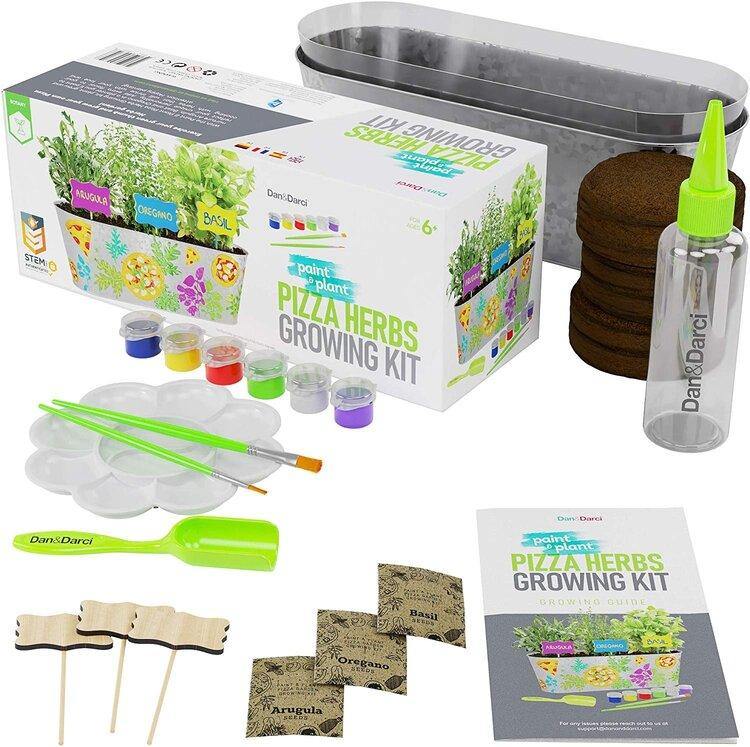 Paint & Plant Pizza Herb Growing Kit - TheToysRoom
