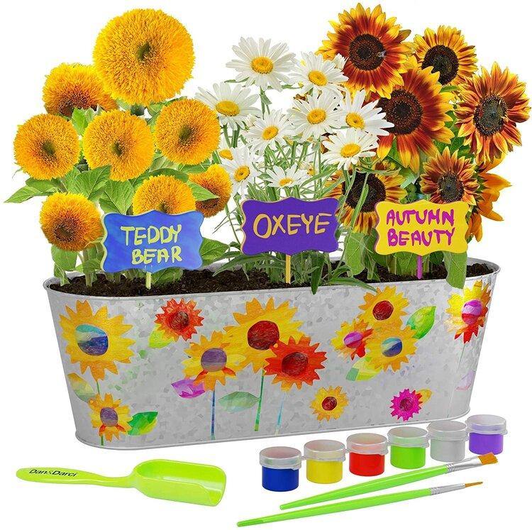Paint & Plant Sunflower Growing Kit - TheToysRoom