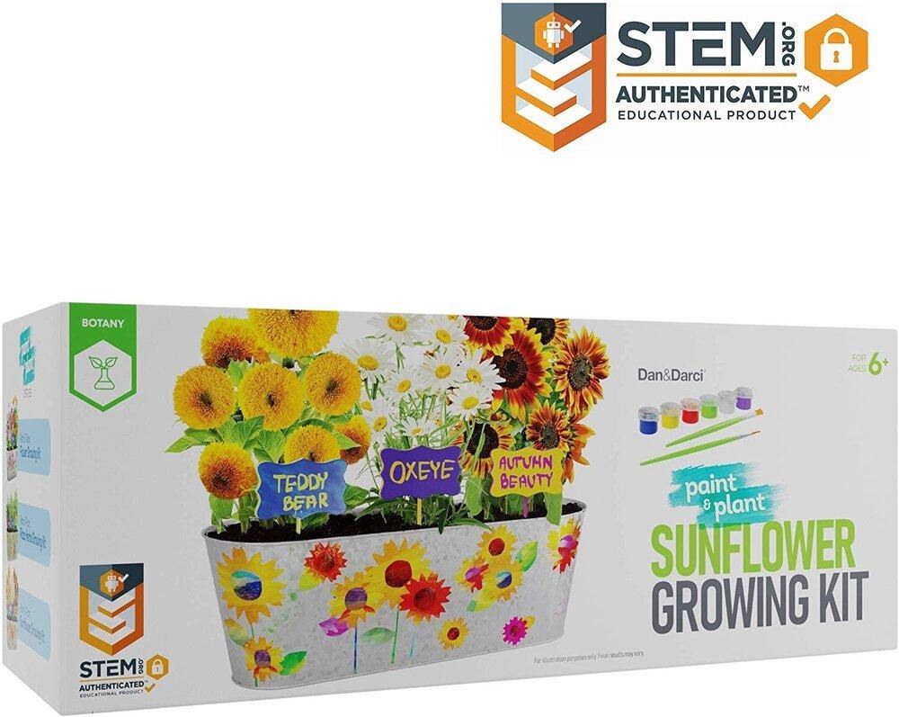 Paint & Plant Sunflower Growing Kit - TheToysRoom