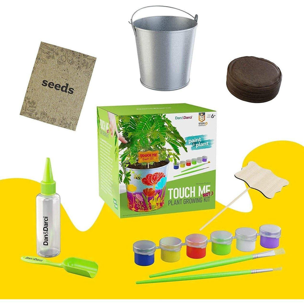 Paint & Plant Touch-Me-Not Growing Kit - TheToysRoom