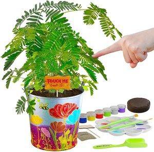 Paint & Plant Touch-Me-Not Growing Kit - TheToysRoom