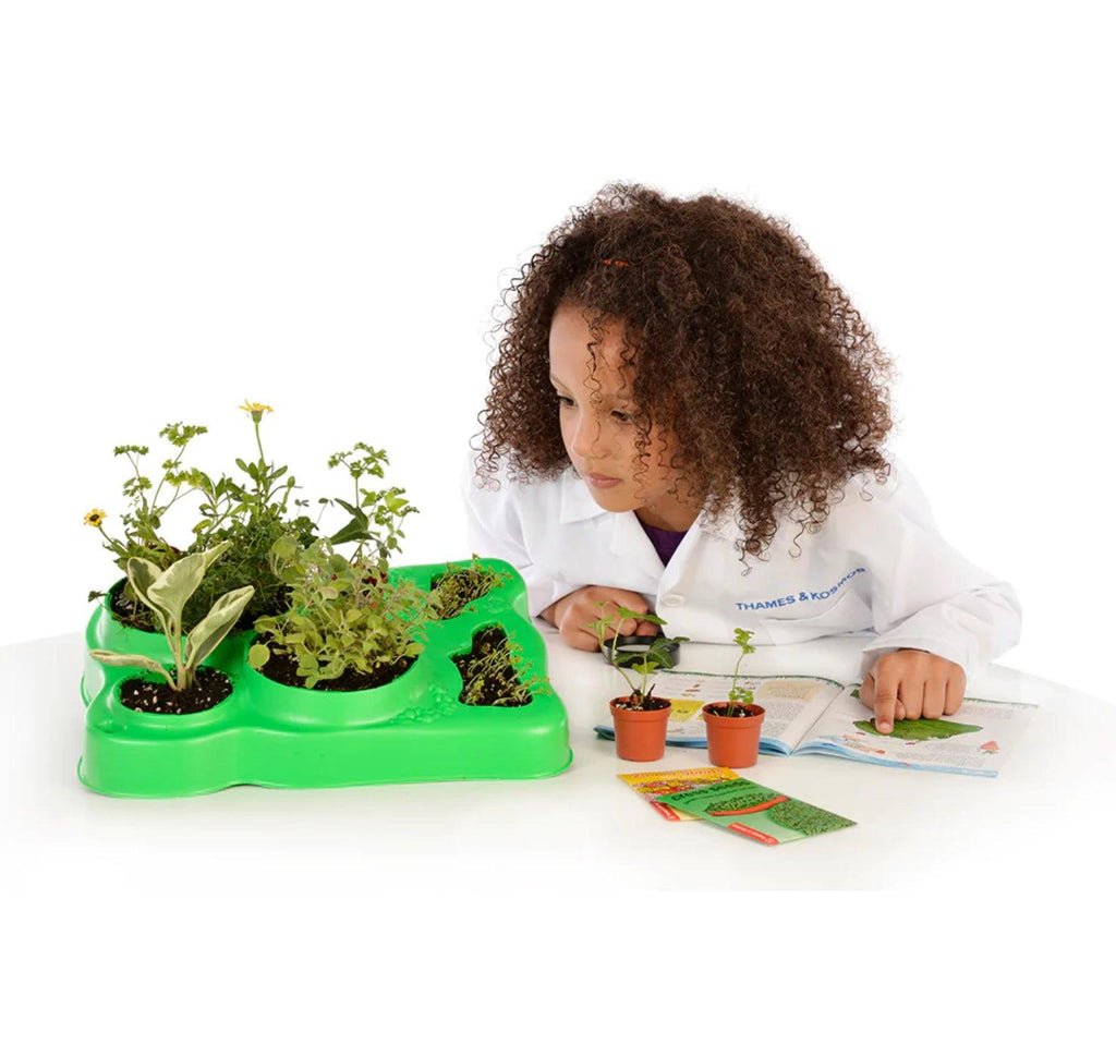 Botany - Experimental Greenhouse - TheToysRoom